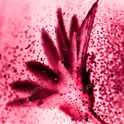 Preview: Abstract Underwater Composition With Dried Flower, Bubbles And Light