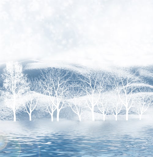 Preview: Winter Landscape