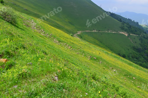Preview: Landscape With Winding Road