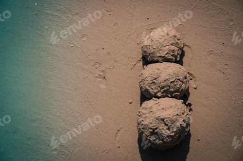 Preview: Figure From Sand On The Seaside