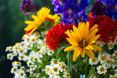 Preview: A Bouquet Of Bright Spring Flowers Of Various Types