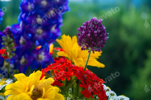 Preview: A Bouquet Of Bright Spring Flowers Of Various Types