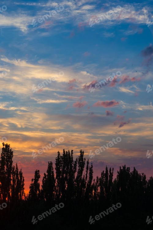Preview: Landscape With Dramatic Light - Beautiful Golden Sunset With Saturated Sky And Clouds.