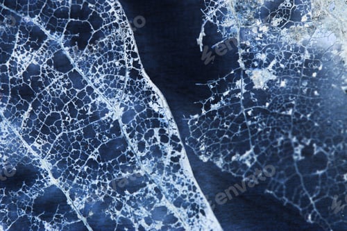 Preview: Abstract Composition With Rotten Leaves With Fibers Texture And Inverted Colors - Blue Filigree