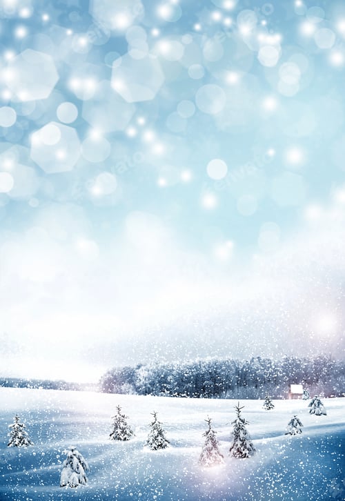 Preview: The Village In Winter Forest