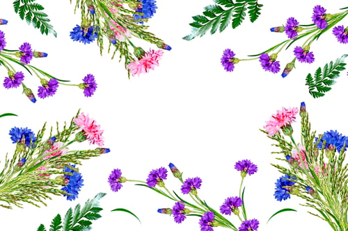 Preview: Floral Pattern with Blue and Pink Cornflowers