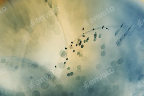 Preview: Abstract Underwater Games With Jelly Balls, Bubbles And Light