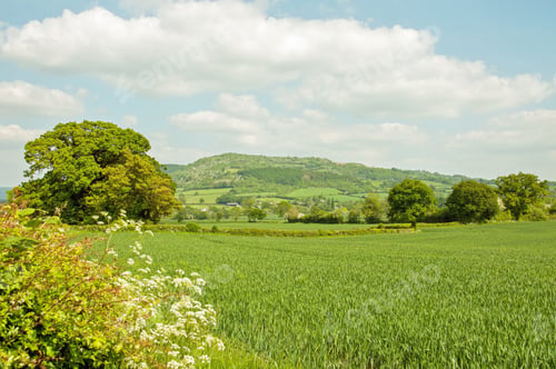 Preview: Summer Landscape In The English Countryside.
