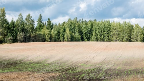 Preview: Fresh Cultivated Field In Autumn In Countryside