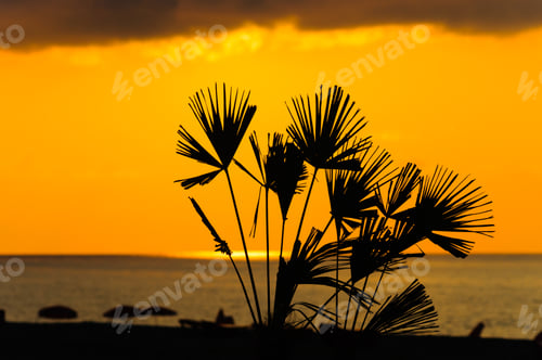Preview: Sunset, Golden Moments