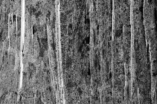 Preview: Wood Texture From Very Old, Weathered Piece Of Wood
