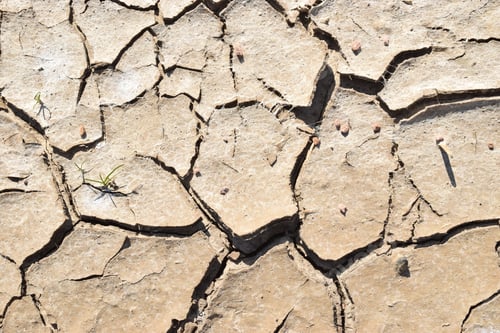 Preview: Dried Out Cracked Brown Soil