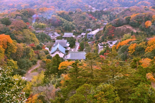 Preview: Kamakura, Japan - Zen Buddhist Temple Of Kencho-Ji. Aerial View With Autumn Forests. Vintage