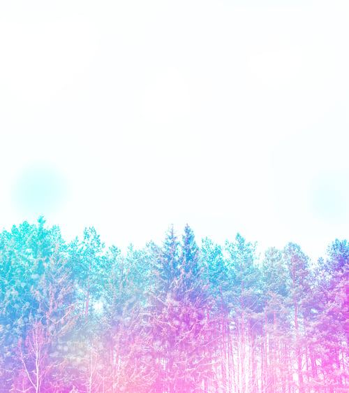 Preview: Frozen Winter Forest With Snow Covered Trees.