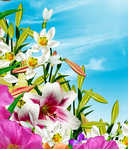Preview: A Bouquet Of Flowers On A Background Of Blue Sky