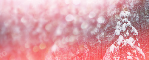 Preview: Frozen Winter Forest With Snow Covered Trees.