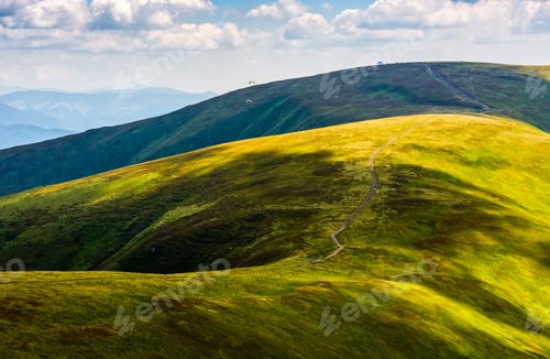 Preview: Beautiful Summer Landscape. Forest And Grassy Meadow On A Hillside Of Mountain Ridge