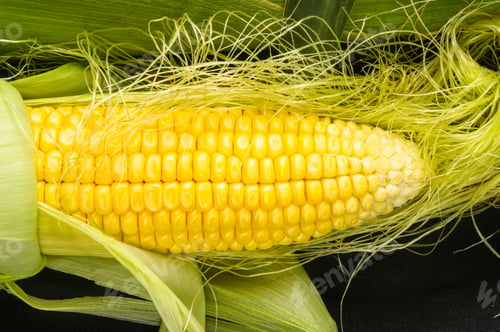 Preview: Fresh Corn On Cobs On Black Background, Closeup