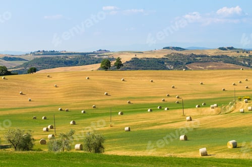 Preview: Tuscany Hills Landscape, Italy. Rural Italian Panorama.