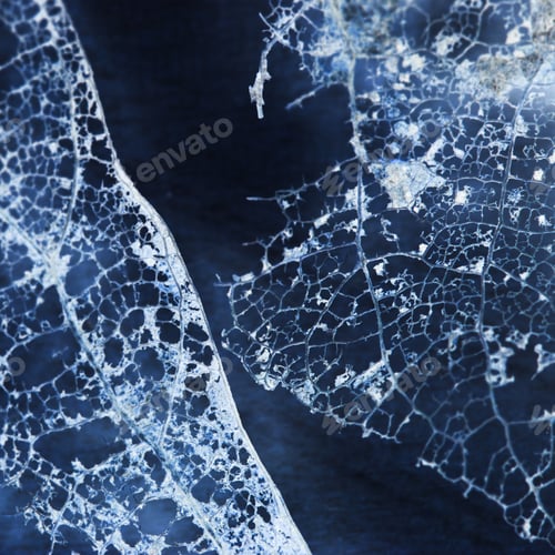 Preview: Abstract Composition With Rotten Leaves With Fibers Texture And Inverted Colors - Blue Filigree