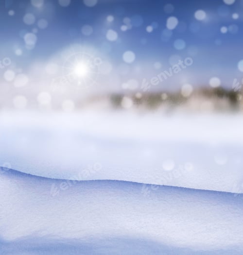 Preview: Winter Forest