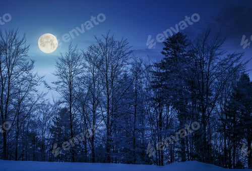 Preview: Forest On Snowy Hillside At Night In Full Moon Light. Beautiful Nature Background