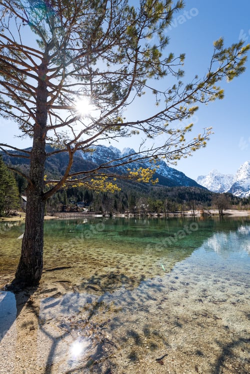 Preview: Lake Jasna In Winter Time