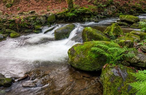 Preview: Small Cascades On The Forest River Among Huge Boulders Covered With Moss. Taken With Long Exposure