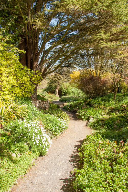 Preview: Country Garden In Worcestershire, United Kingdom.