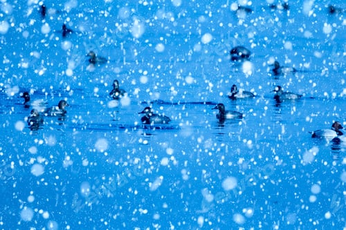 Preview: Winter Season And Animals. Falling Snow. Blue Nature Background.