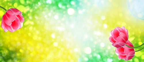 Preview: Bright And Colorful Flowers Tulips On The Background Of Spring Landscape.