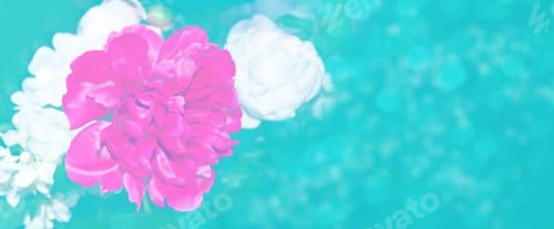 Vista previa: Colorful Peony Flowers On A Background Of The Autumn Landscape. Nature