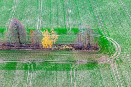 Preview: Aerial View Over The Colourful Trees And Fields In Autumn