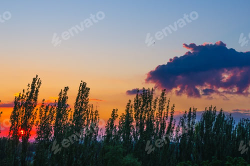 Preview: Landscape With Dramatic Light - Orange Clouds And The Outline Of Trees At Sunset