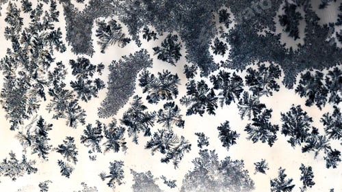 Preview: Ice Flowers On Glass - Texture