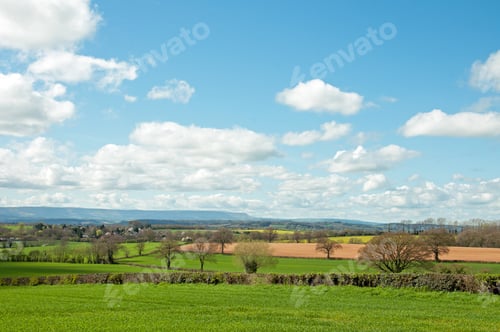 Preview: Springtime Landscape In The British Countryside.