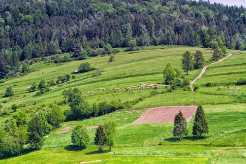 Preview: Mountains Scenery. Panorama Of Grassland And Forest In Beskid Sadecki Mountains. Carpathian
