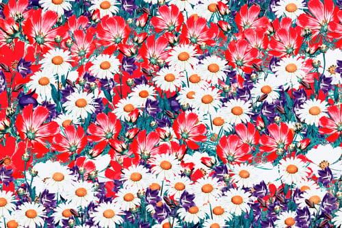Preview: Floral Background