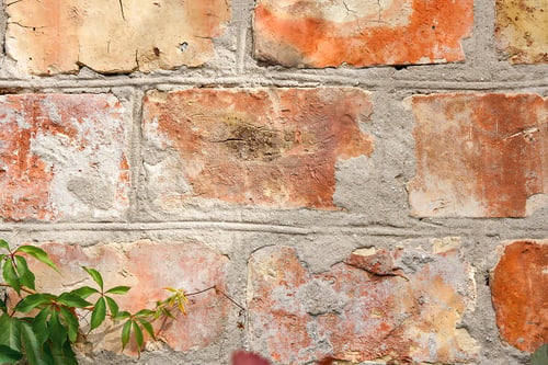 Preview: Vintage Brick Wall With Natural Floral Frame. Wild Grape On The Wall Of An Old Building. Texture