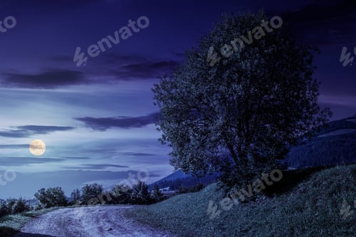 Preview: Tree On Grassy Hillside By The Road Turnaround. Lovely Countryside Scenery In Mountains At Night In