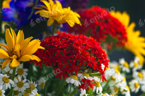 Preview: A Bouquet Of Bright Spring Flowers Of Various Types