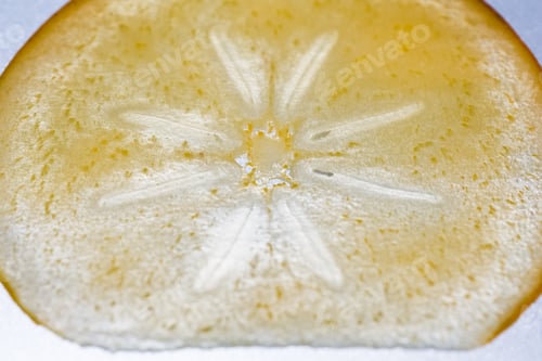 Preview: Persimmon Slice - Texture