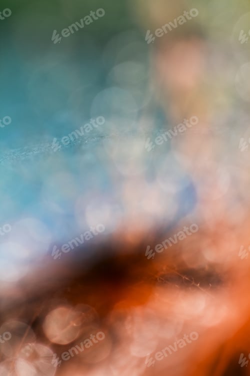 Preview: Natural, Colored Abstract Background With Bokeh
