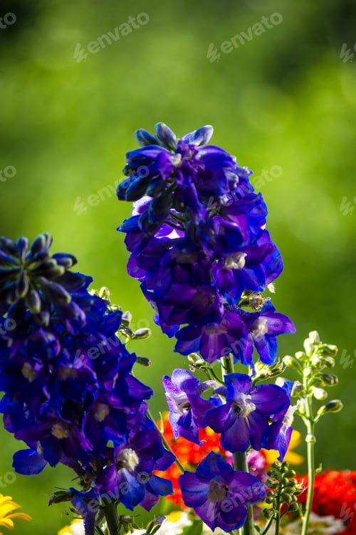 Preview: A Bouquet Of Bright Spring Flowers Of Various Types