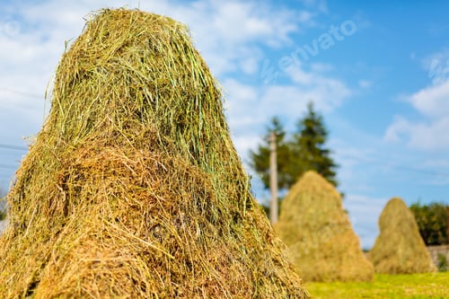 Preview: Landscape With Hay Stacks Under Blue Sky In The Countryside
