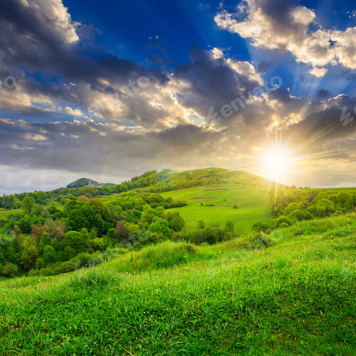 Preview: Mountain Summer Landscape. Trees Near Meadow And Forest On Hillside Under Sky With Clouds At Sunset