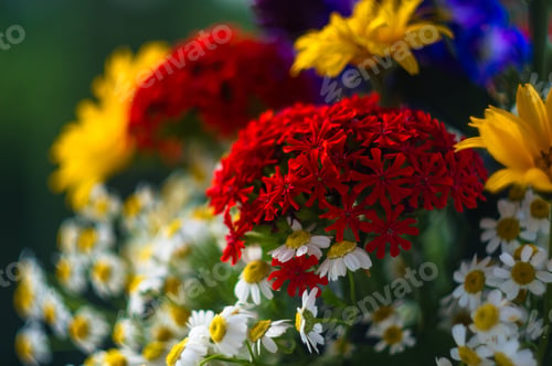 Preview: A Bouquet Of Bright Spring Flowers Of Various Types