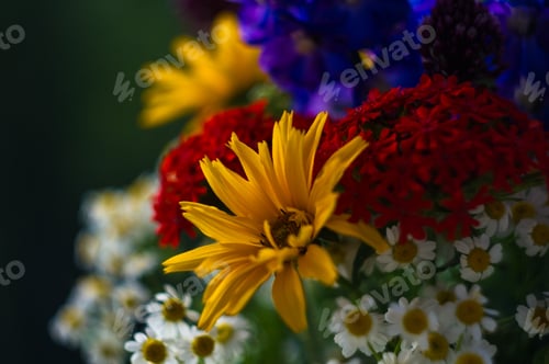 Preview: A Bouquet Of Bright Spring Flowers Of Various Types