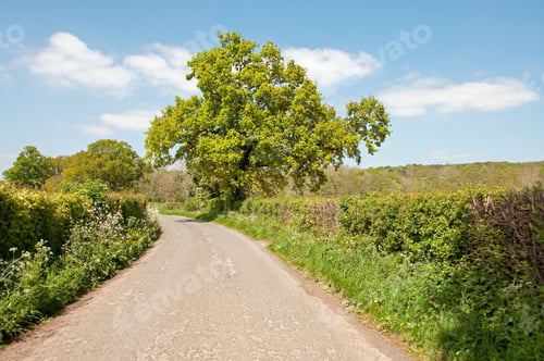Preview: Springtime Country Road In The Herefordshire Countryside Of England.