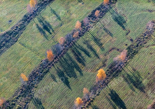 Preview: Aerial View Over The Rural Fields In Autumn